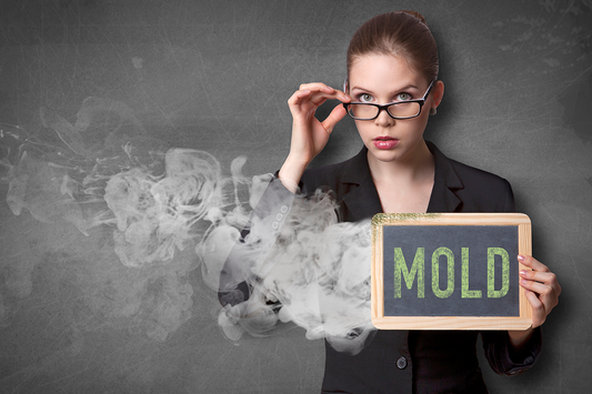 What is Black Mold?